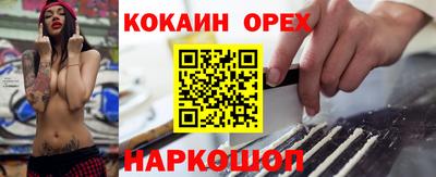 стаф Будённовск