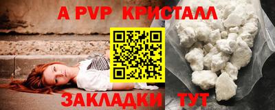 стаф Будённовск