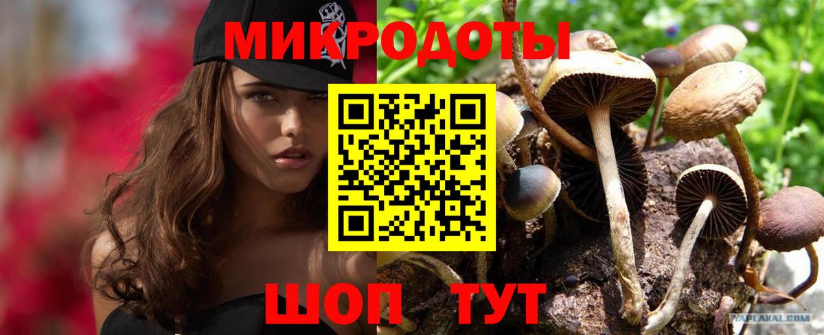 Галлюциногенные грибы MAGIC MUSHROOMS Ржев