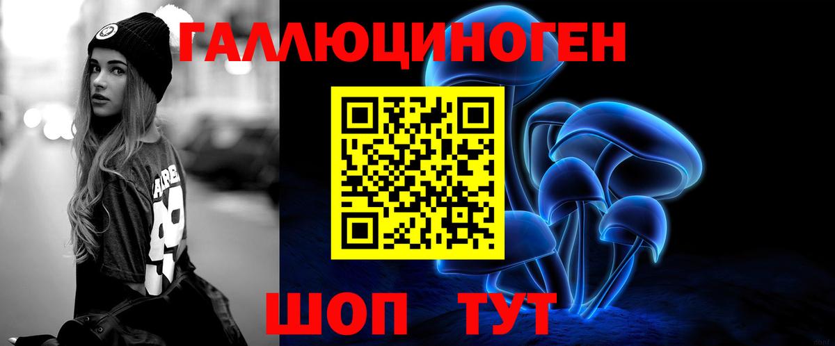 Галлюциногенные грибы Psilocybe  Вход с VPN  Ржев 