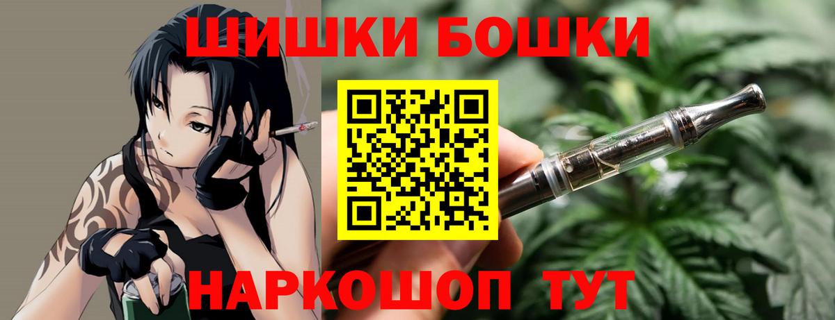 Бошки Шишки планчик Ржев